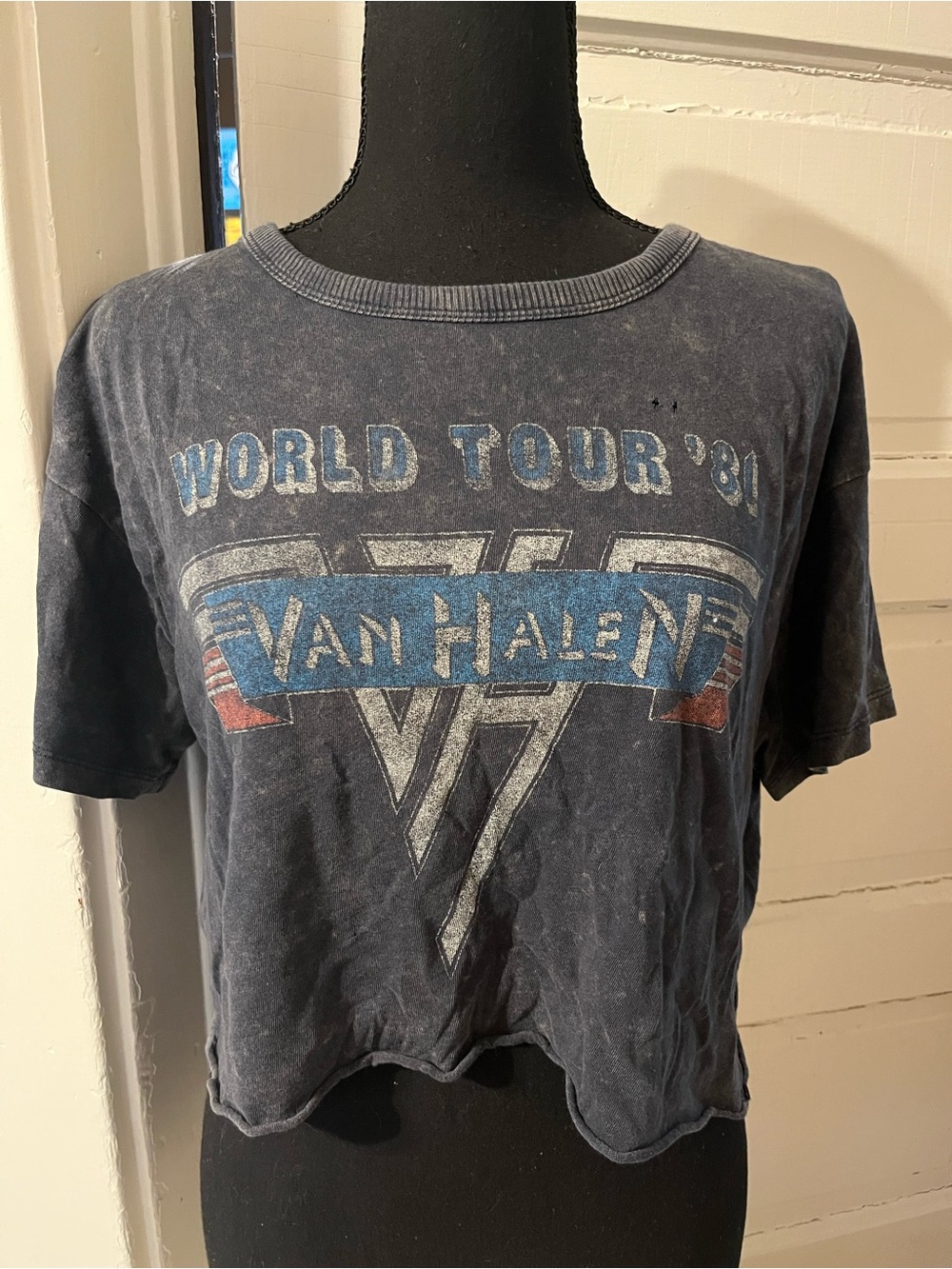 Van Halen World Tour '81 Vintage Washed Out Graphic Tee